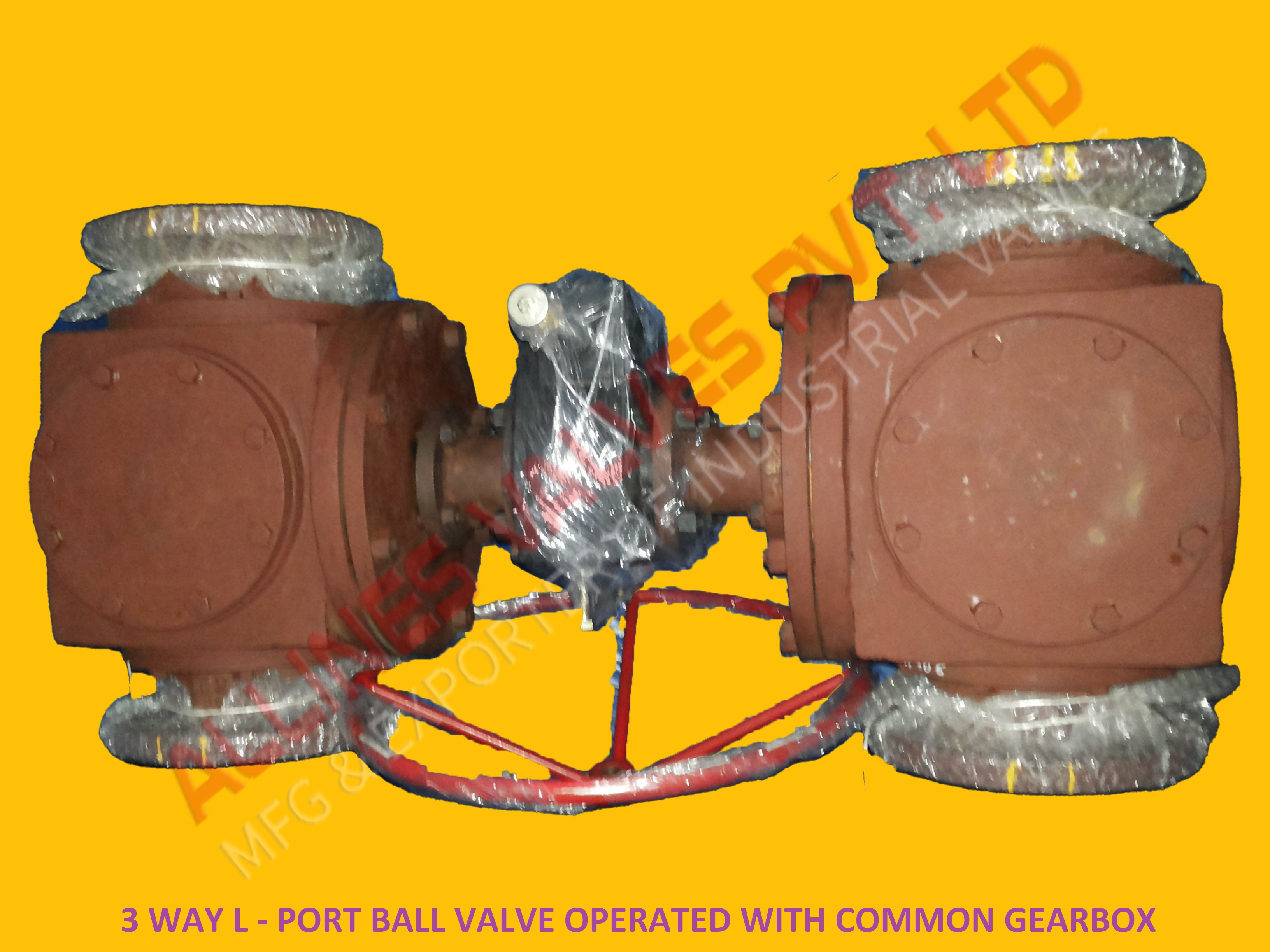 PTFE LINED Y-GLOBE VALVE